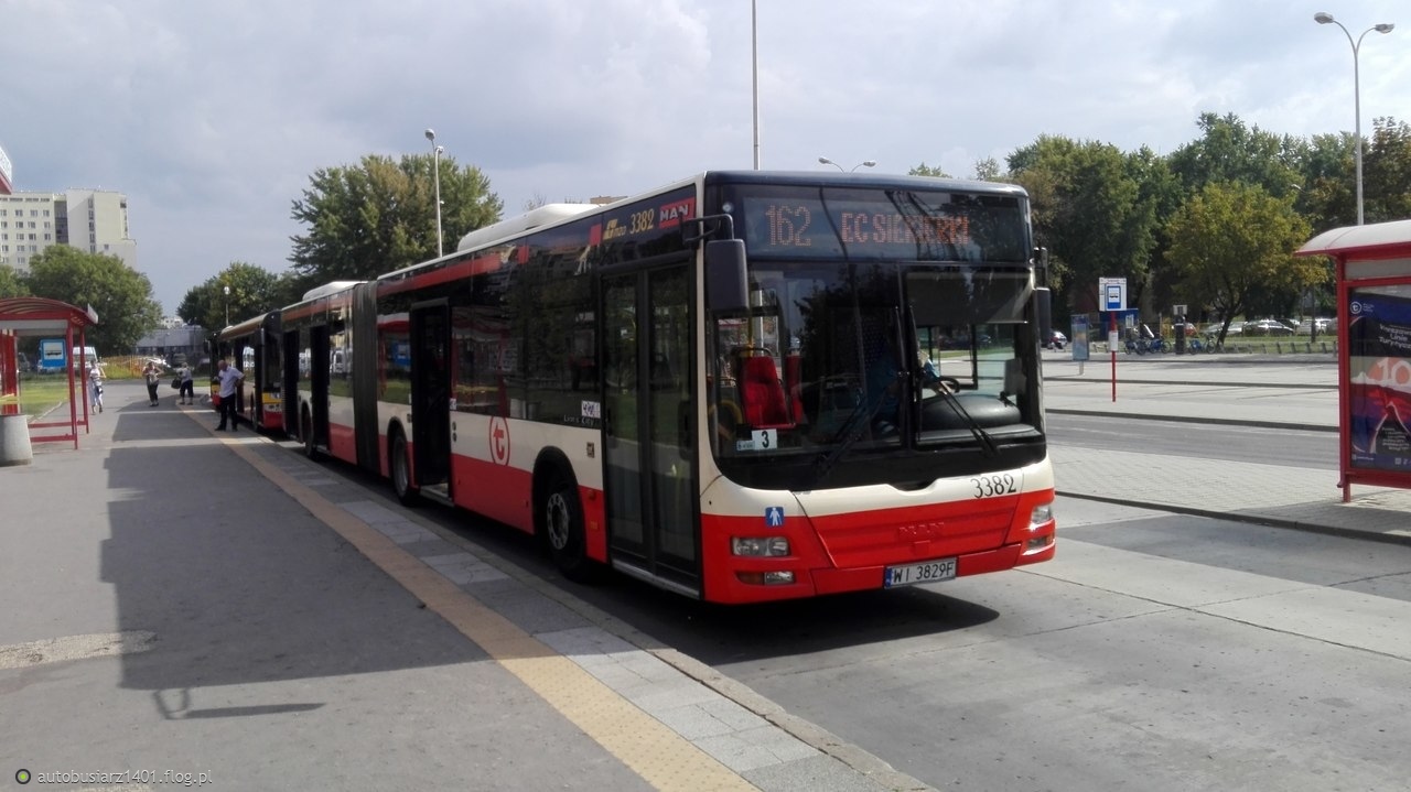 liveman MAN NG 313 - Gdańskie Autobusy i Tramwaje : Gdańskie